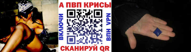 Купить где Козельск Альфа ПВП крисы CK