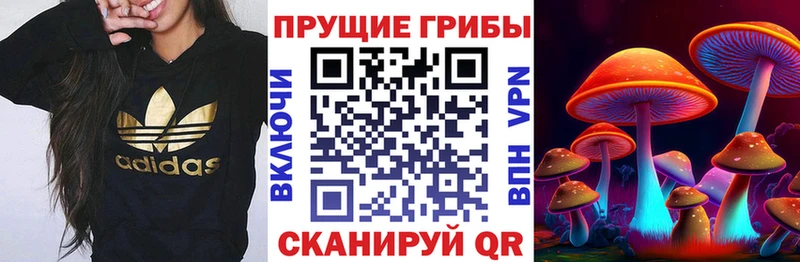 Купить закладки  Козельск  Галлюциногенные грибы мицелий 